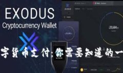 数字货币支付：你需要知