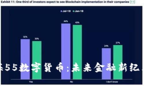 探索上海55数字货币：未来金融新纪元的钥匙