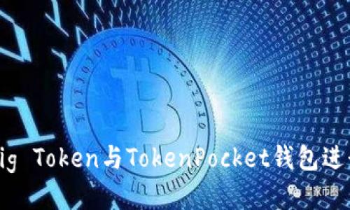 如何使用Pig Token与TokenPocket钱包进行无缝交易