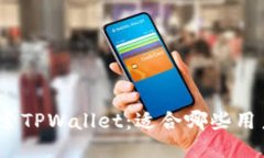 探索TPWallet：适合哪些用户