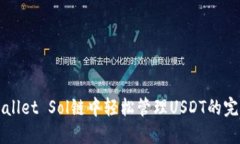 在TPWallet Sol链中轻松管理