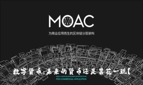 数字货币：未来的货币还是昙花一现？