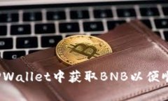 如何在TPWallet中获取BNB以便