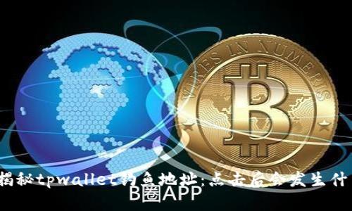 : 揭秘tpwallet钓鱼地址：点击后会发生什么？