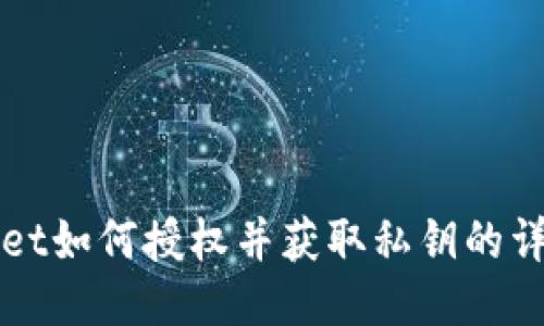 TPWallet如何授权并获取私钥的详细指南