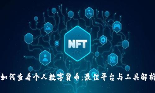 如何查看个人数字货币：最佳平台与工具解析