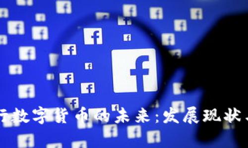 赞比亚银行数字货币的未来：发展现状与挑战分析