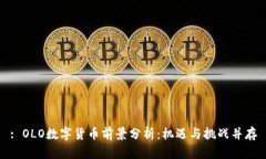 : OLO数字货币前景分析：机