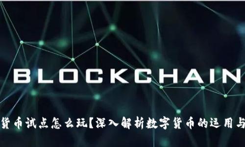数字货币试点怎么玩？深入解析数字货币的运用与未来