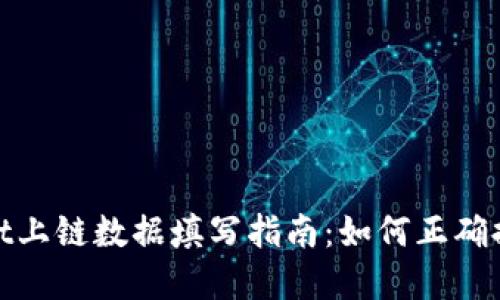 tpwallet上链数据填写指南：如何正确提交数据