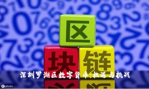 深圳罗湖区数字货币：机遇与挑战