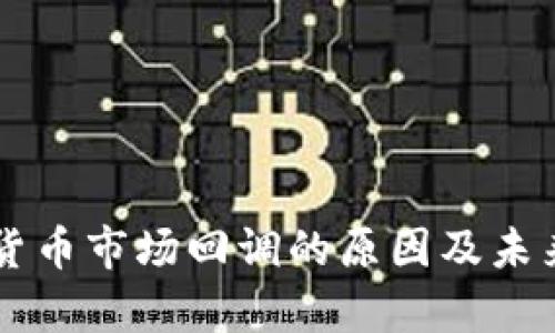 当前数字货币市场回调的原因及未来走势分析